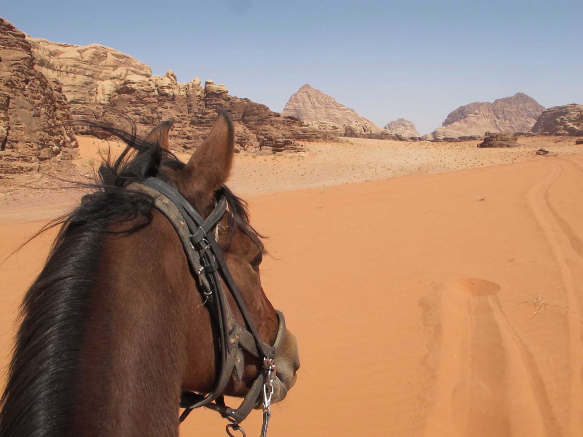 Randonnée à cheval Jordanie et Wadi Rum