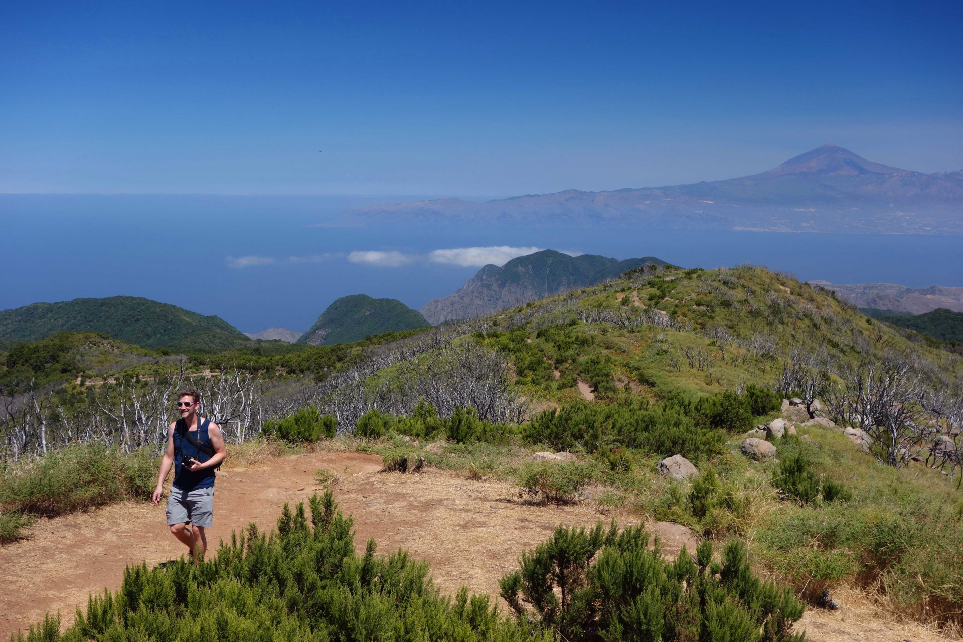 Garajonay, la Gomera, Canaries