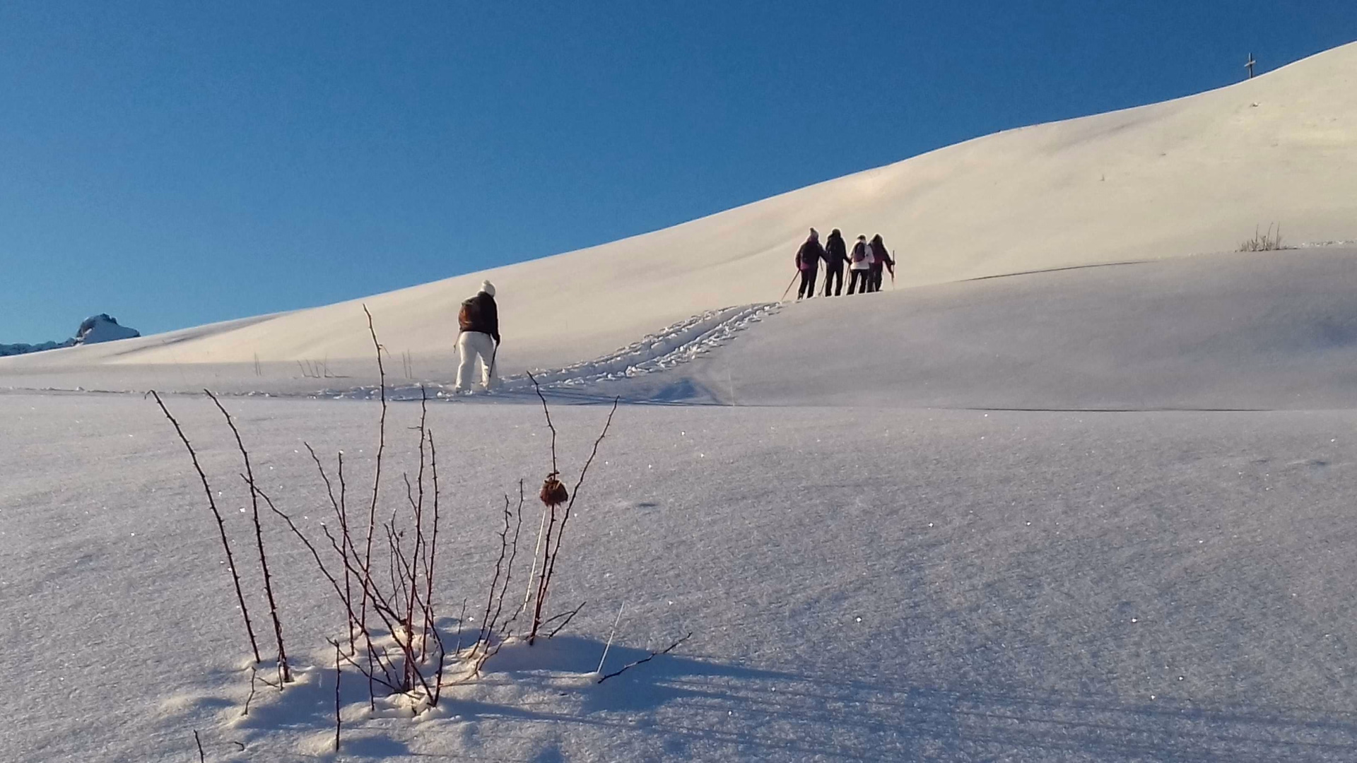 Randonnée bien-être en Auvergne