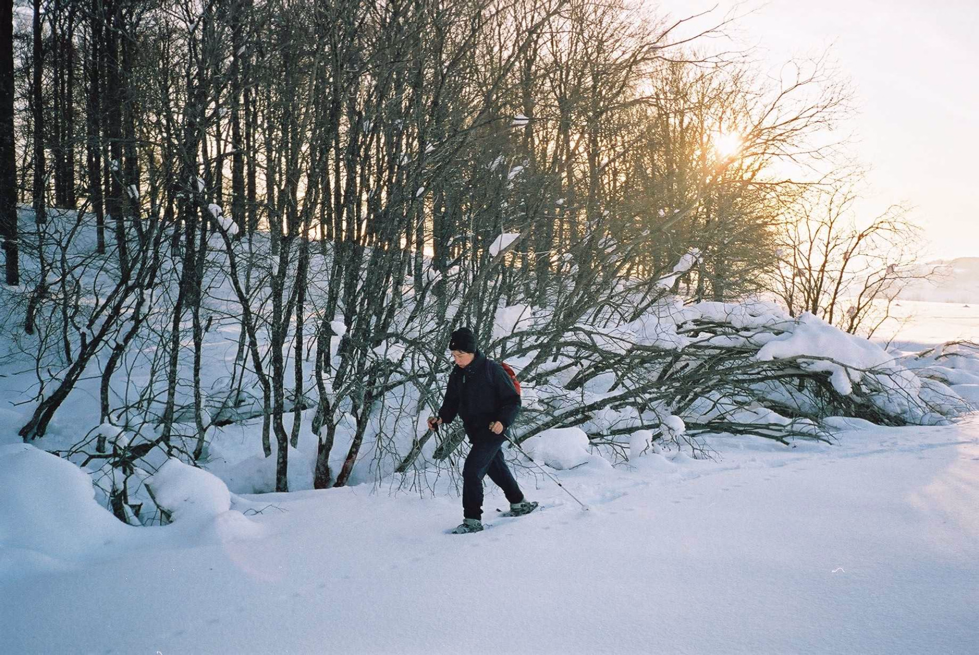 Randonnée bien-être en Auvergne