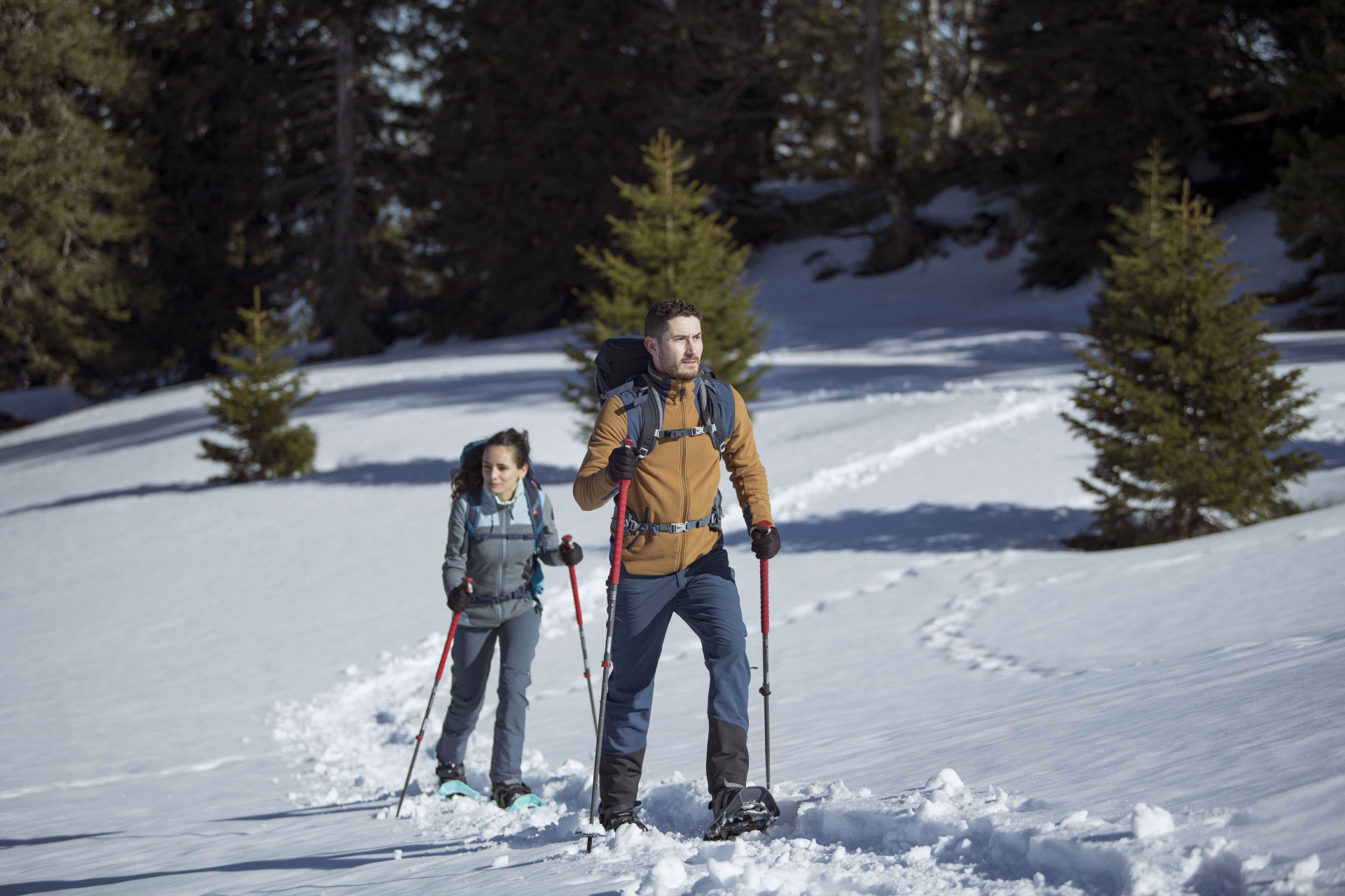 Nos séjours en raquette à neige dans les Alpes