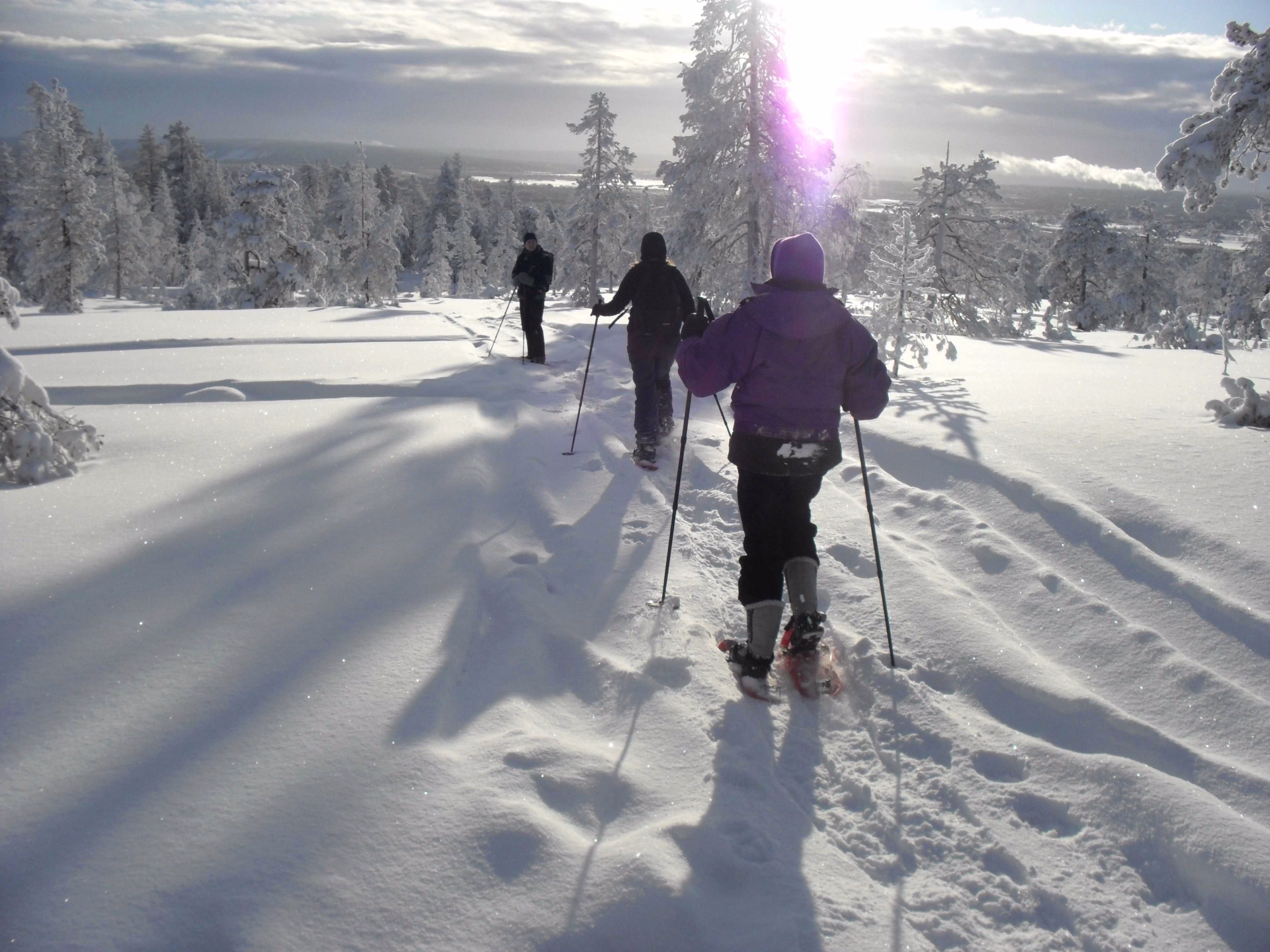 Randonnée en raquettes en Finlande