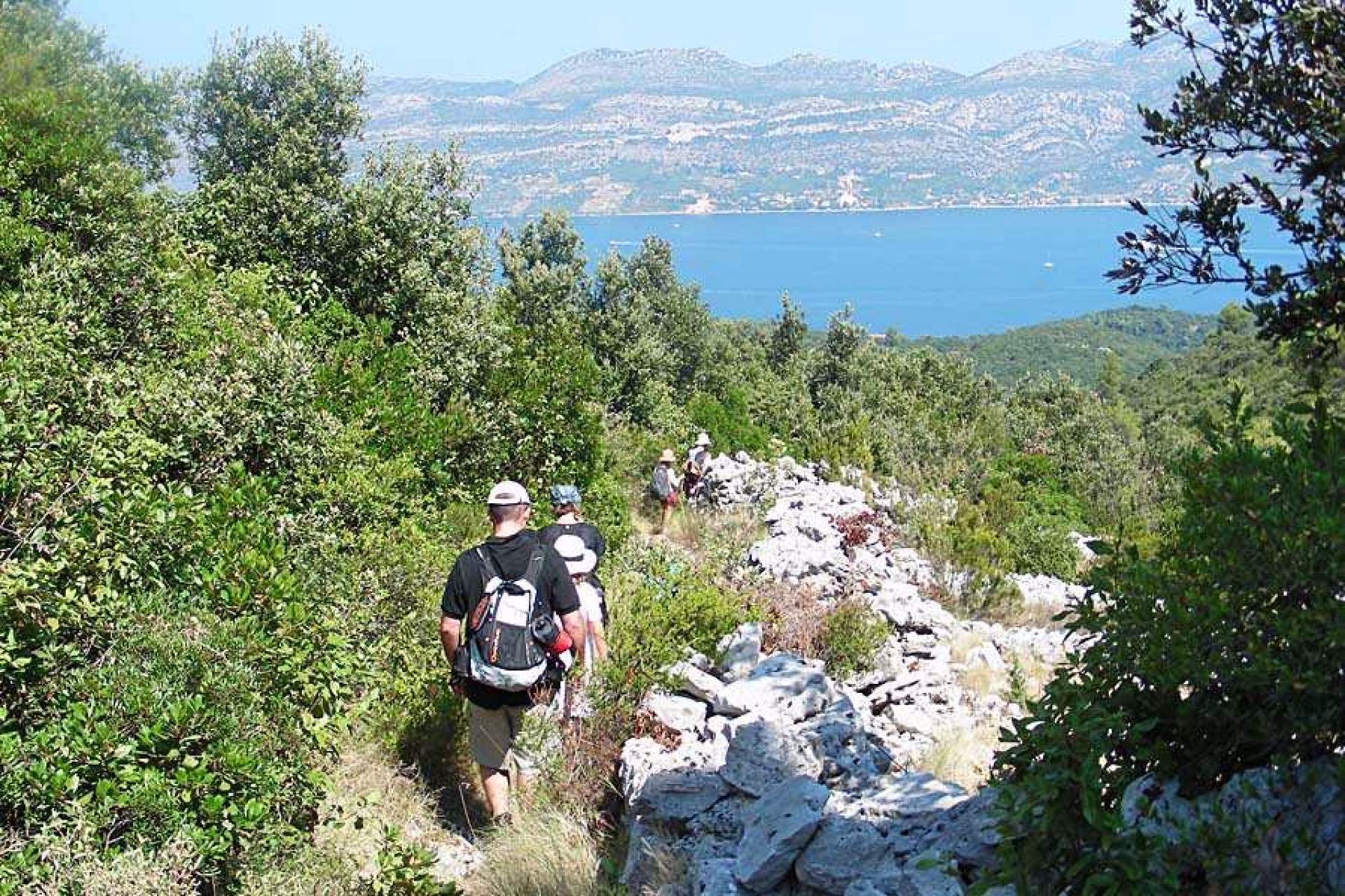 Randonnée sur la presqu'île de Peljesac, Côte dalmate, Croatie