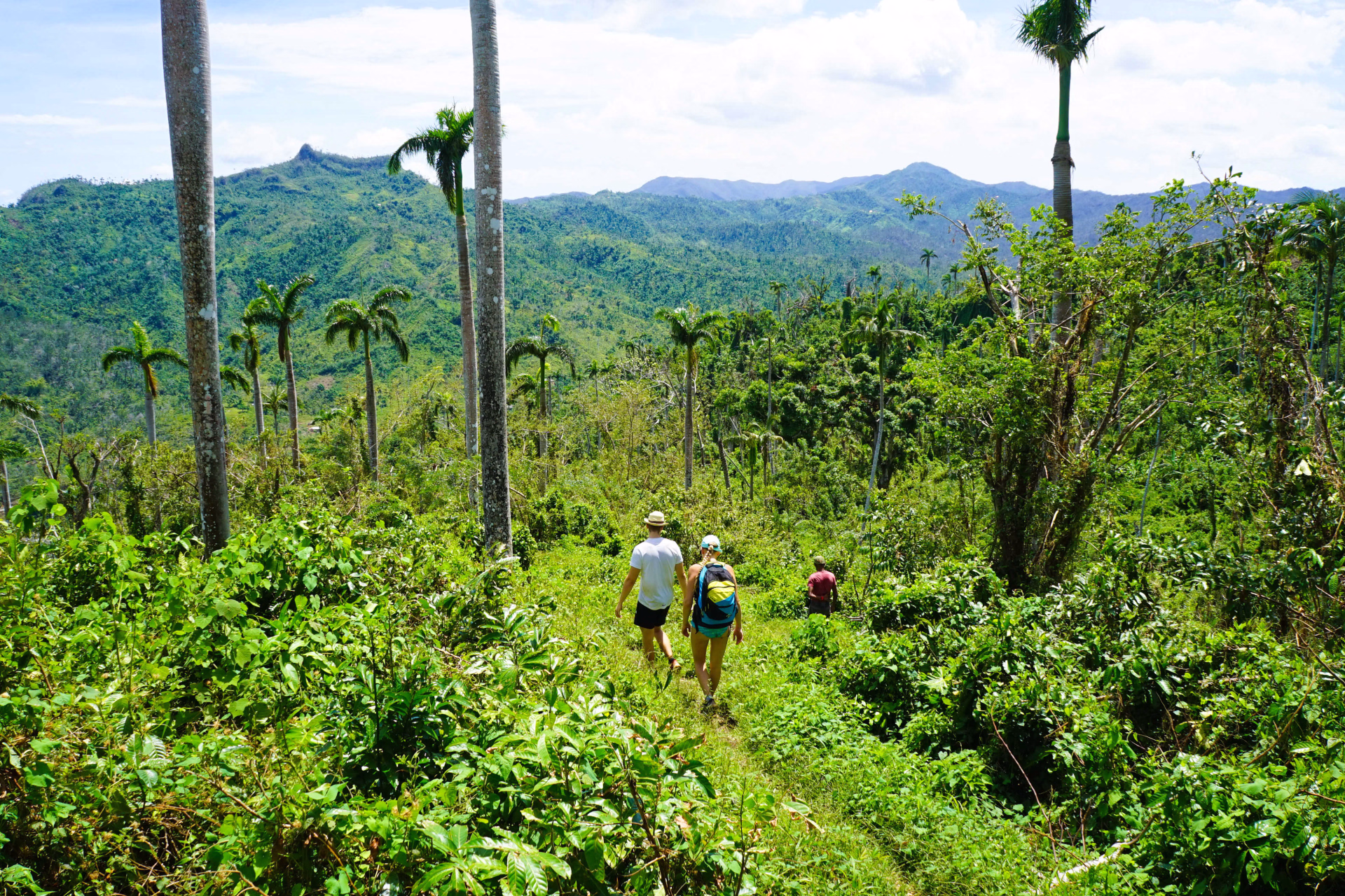 Nos treks sportifs et organisés à Cuba