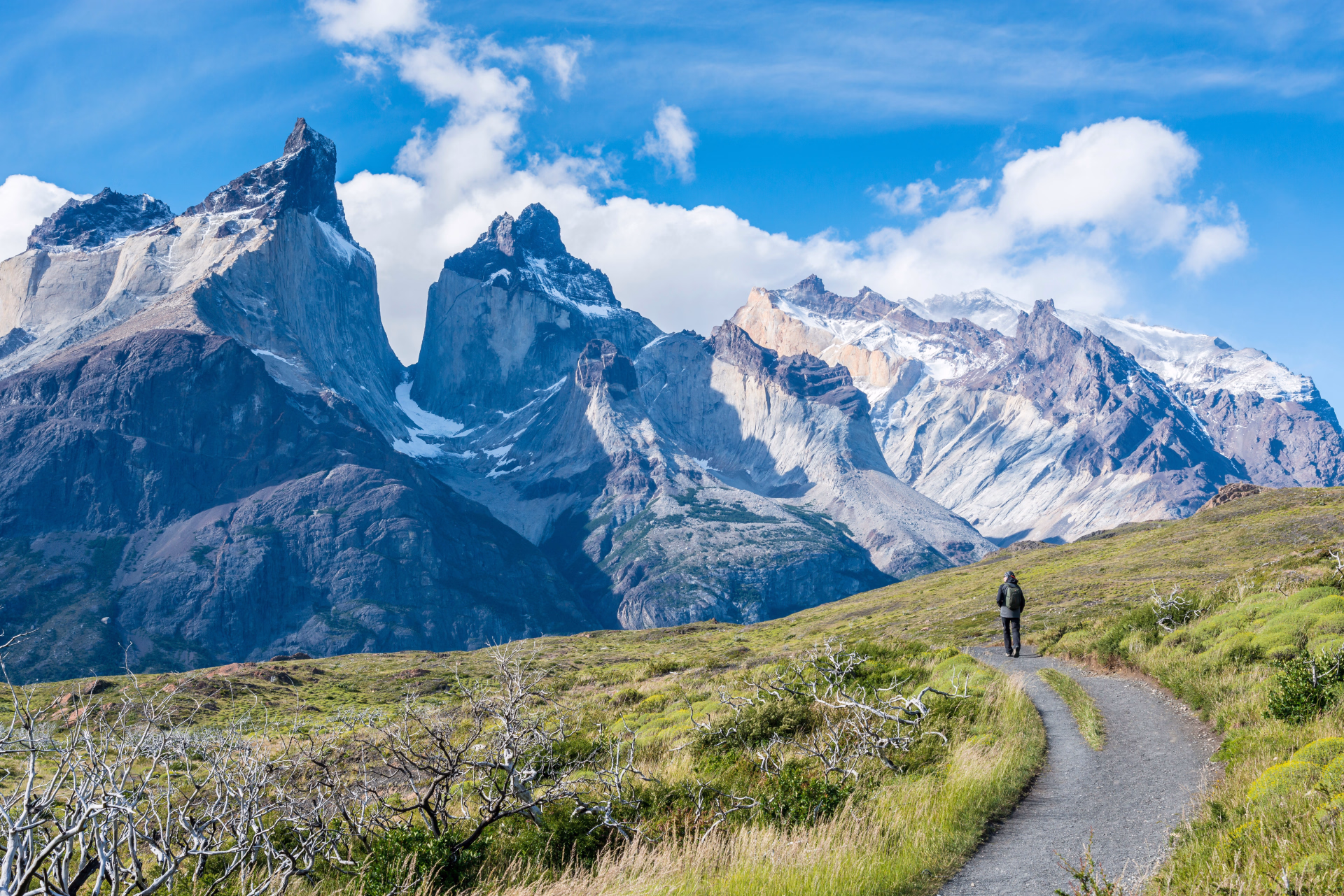 L'essentiel de la Patagonie