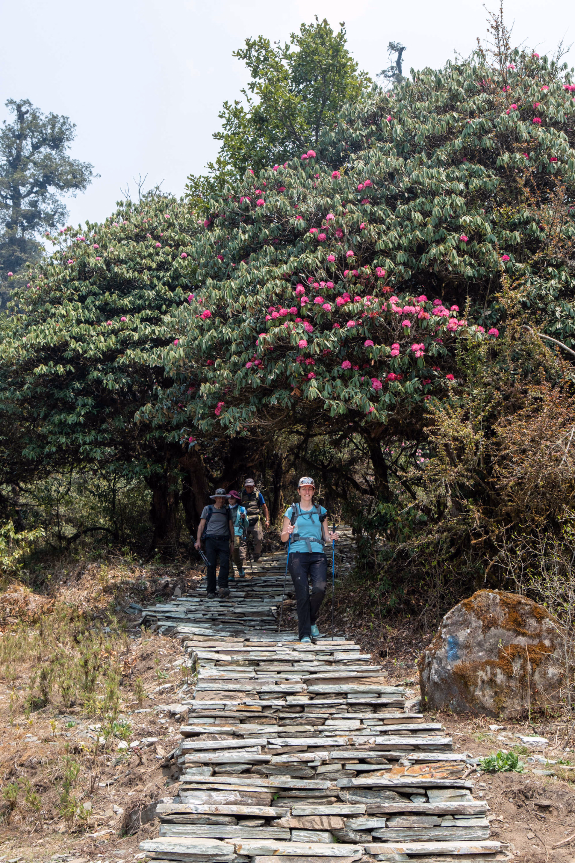 Découverte du Népal : Annapurnas et Téraï