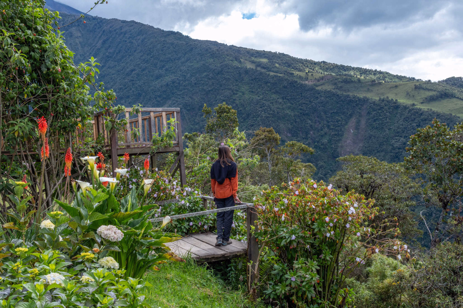 L’Équateur, entre volcans majestueux et forêt primaire