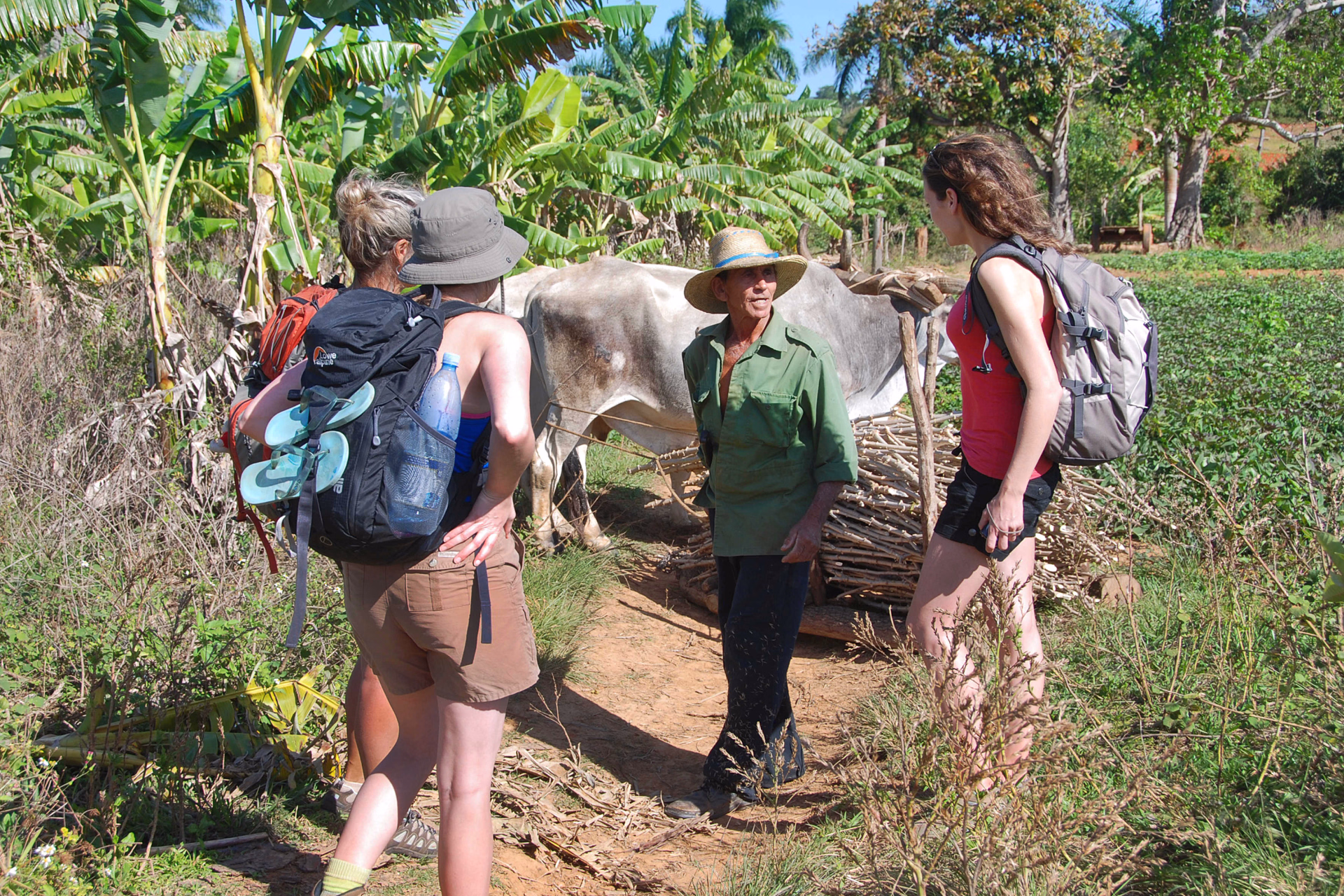 rencontre rando vallée de Vinales Cuba
