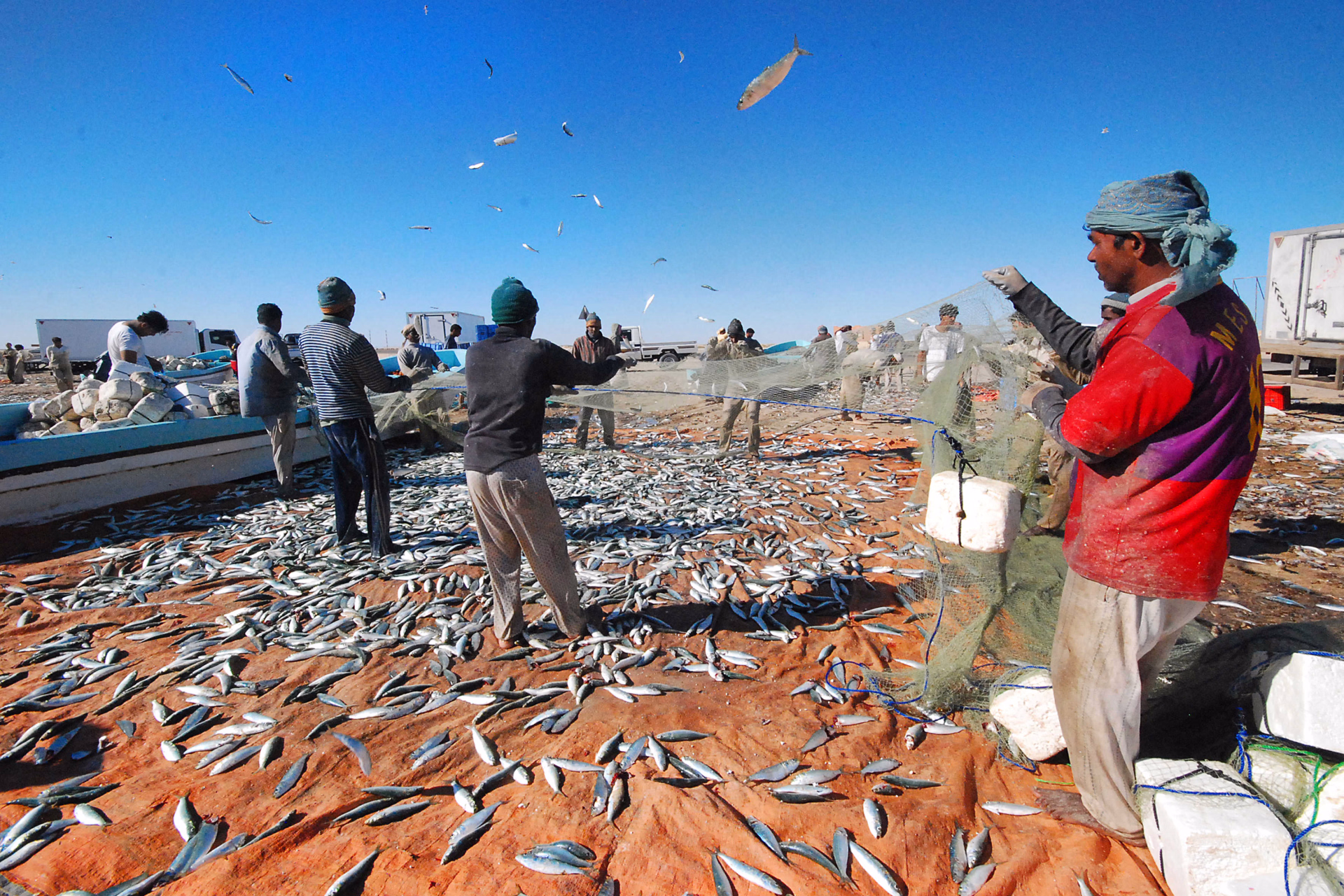Retour de pêche, Oman