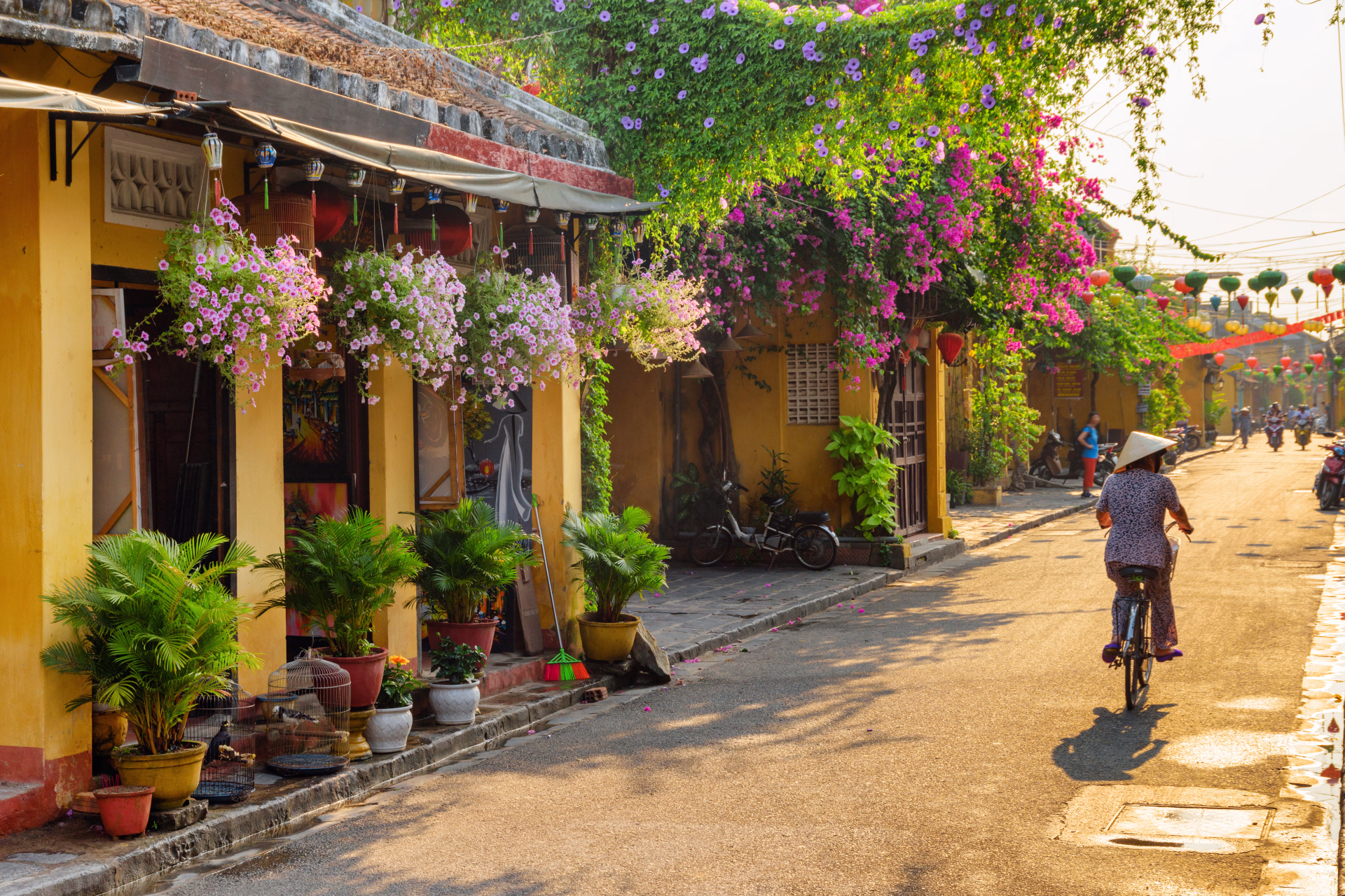 Les essentiels du Vietnam : baie d'Halong & délta du Mékong