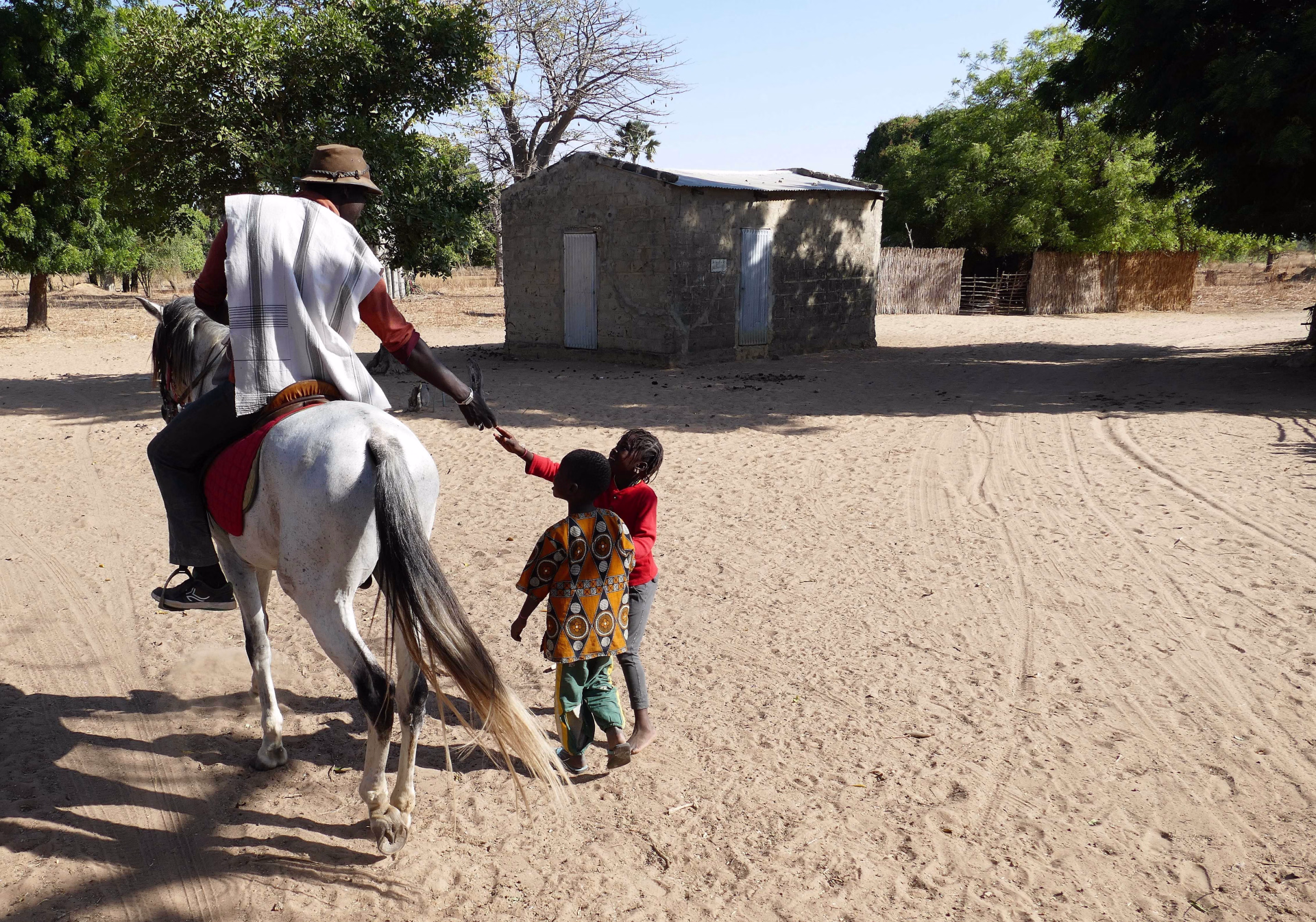 Safari_Sénégal