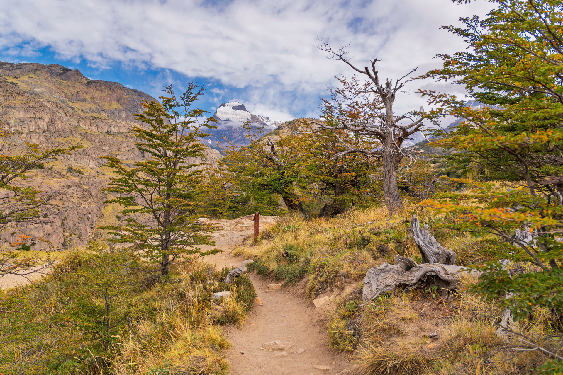 L'essentiel de la Patagonie