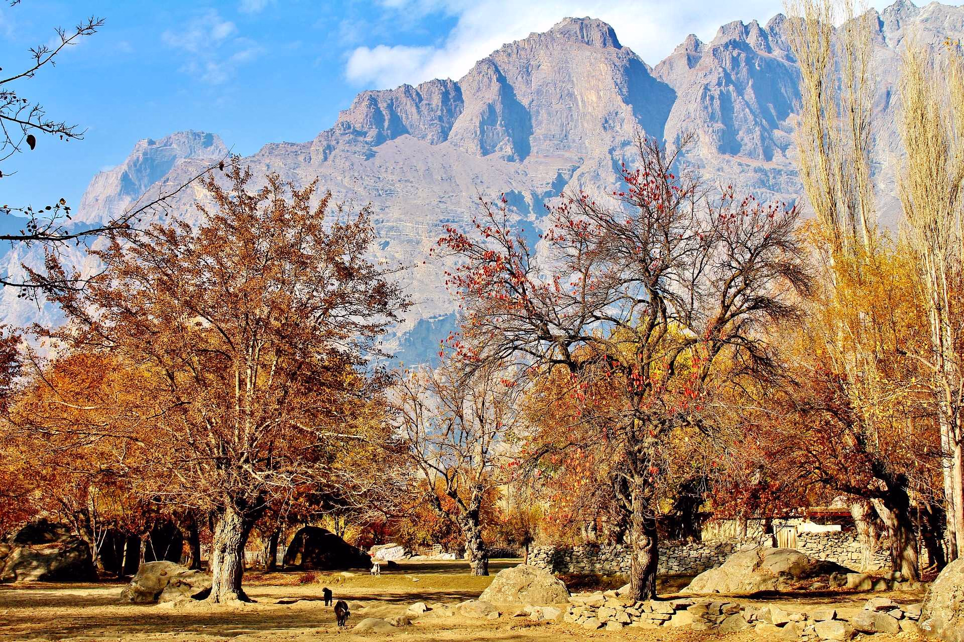 Grande découverte du Pakistan, du Karakorum à Lahore