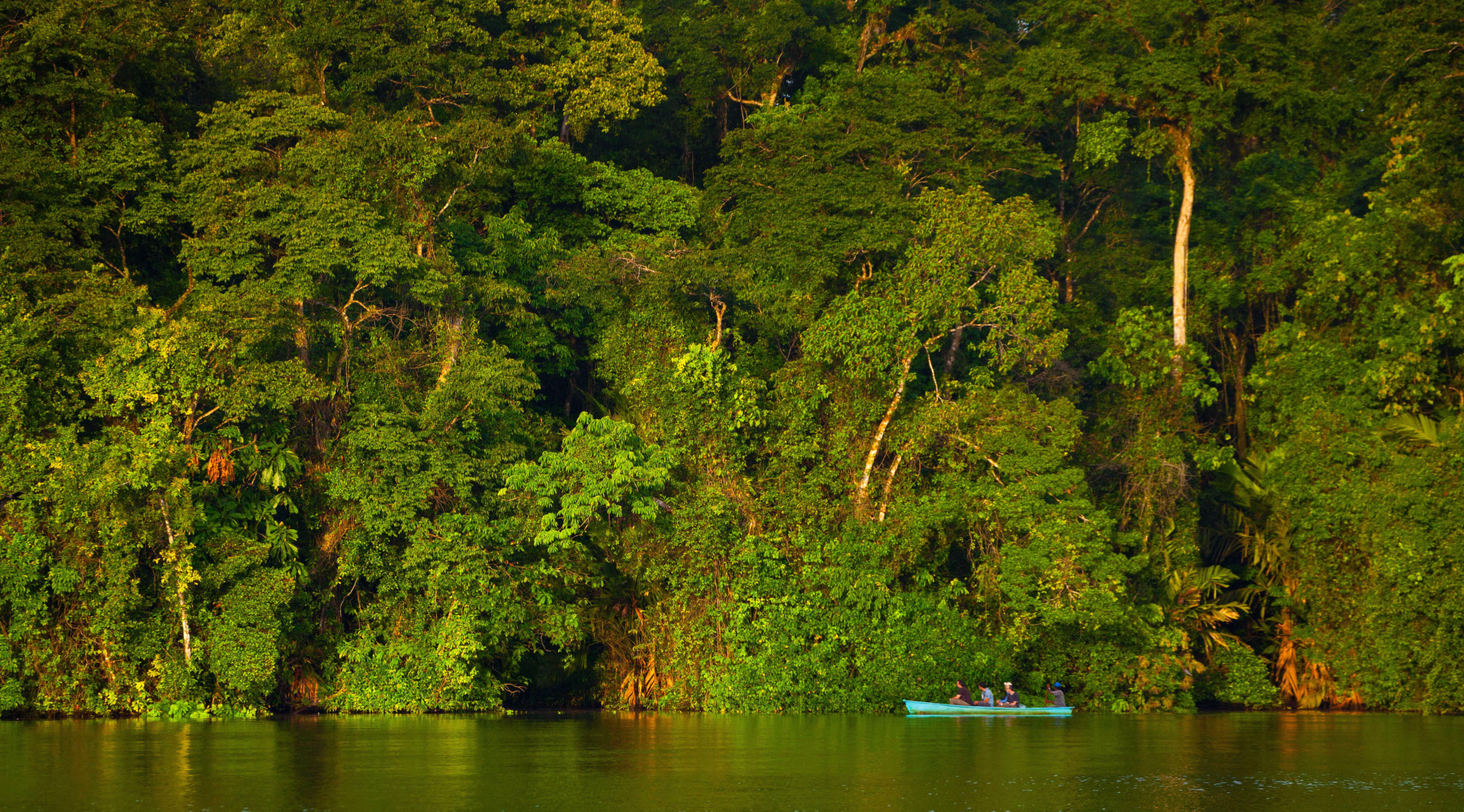 Costa Rica, sanctuaires sauvages et immersion locale