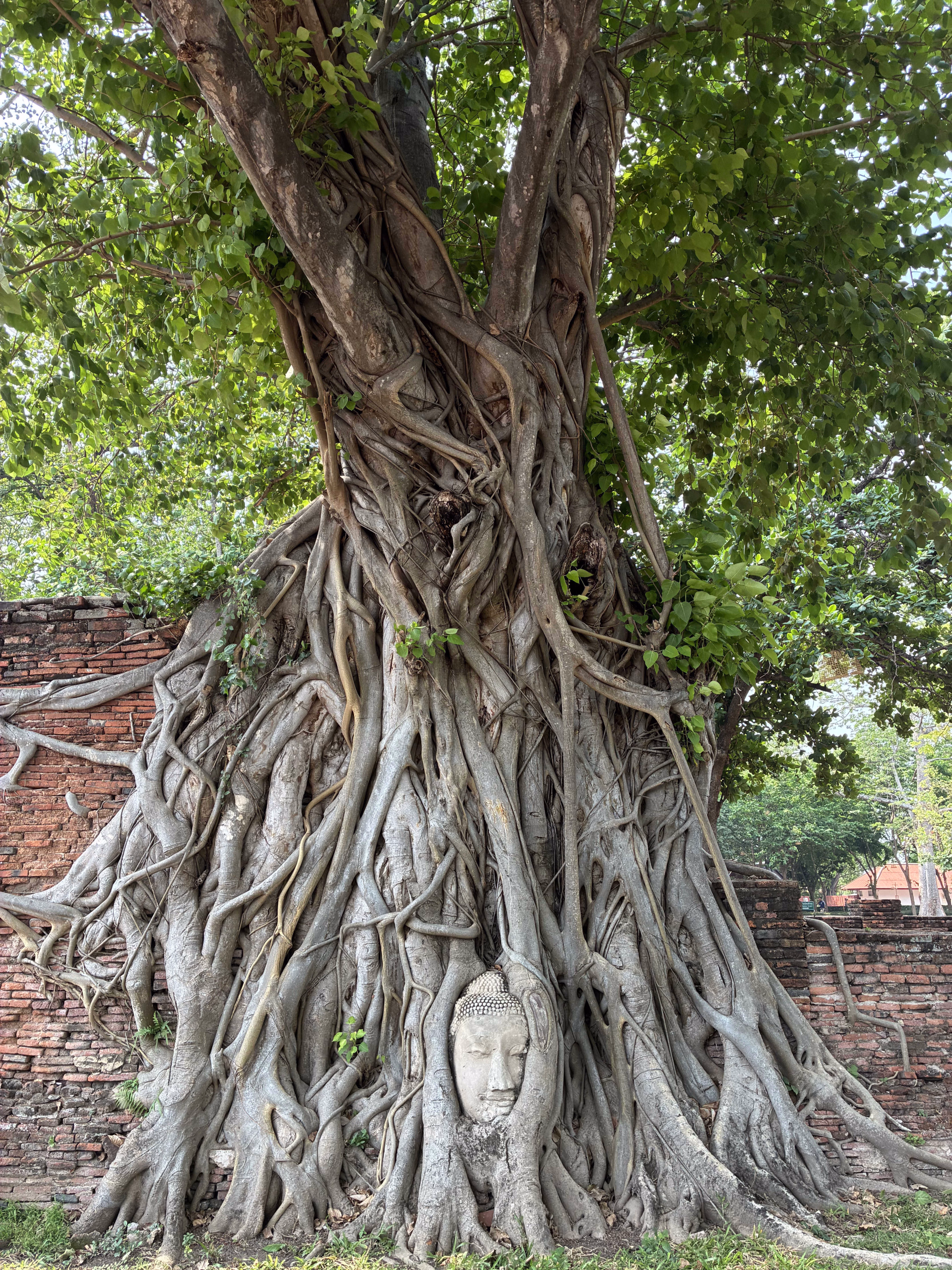 Thaïlande authentique, entre nature et culture