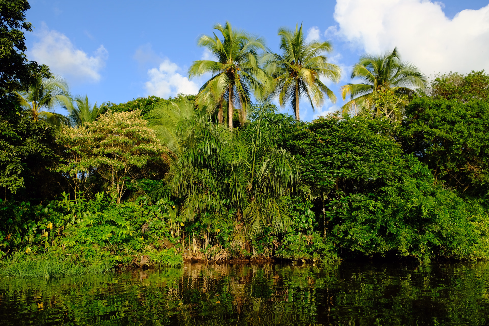 Costa Rica, sanctuaires sauvages et immersion locale