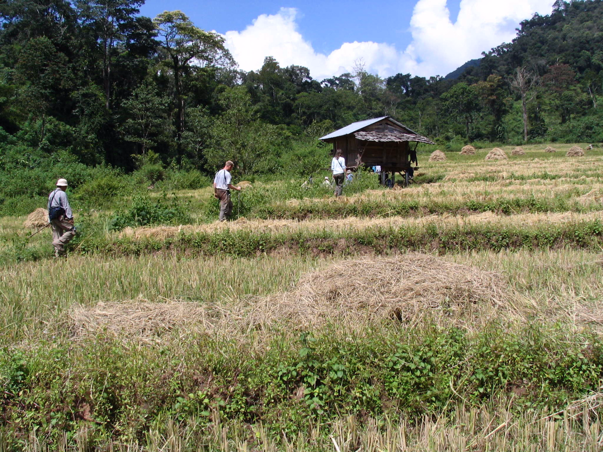 Trek dans le Nord du Laos