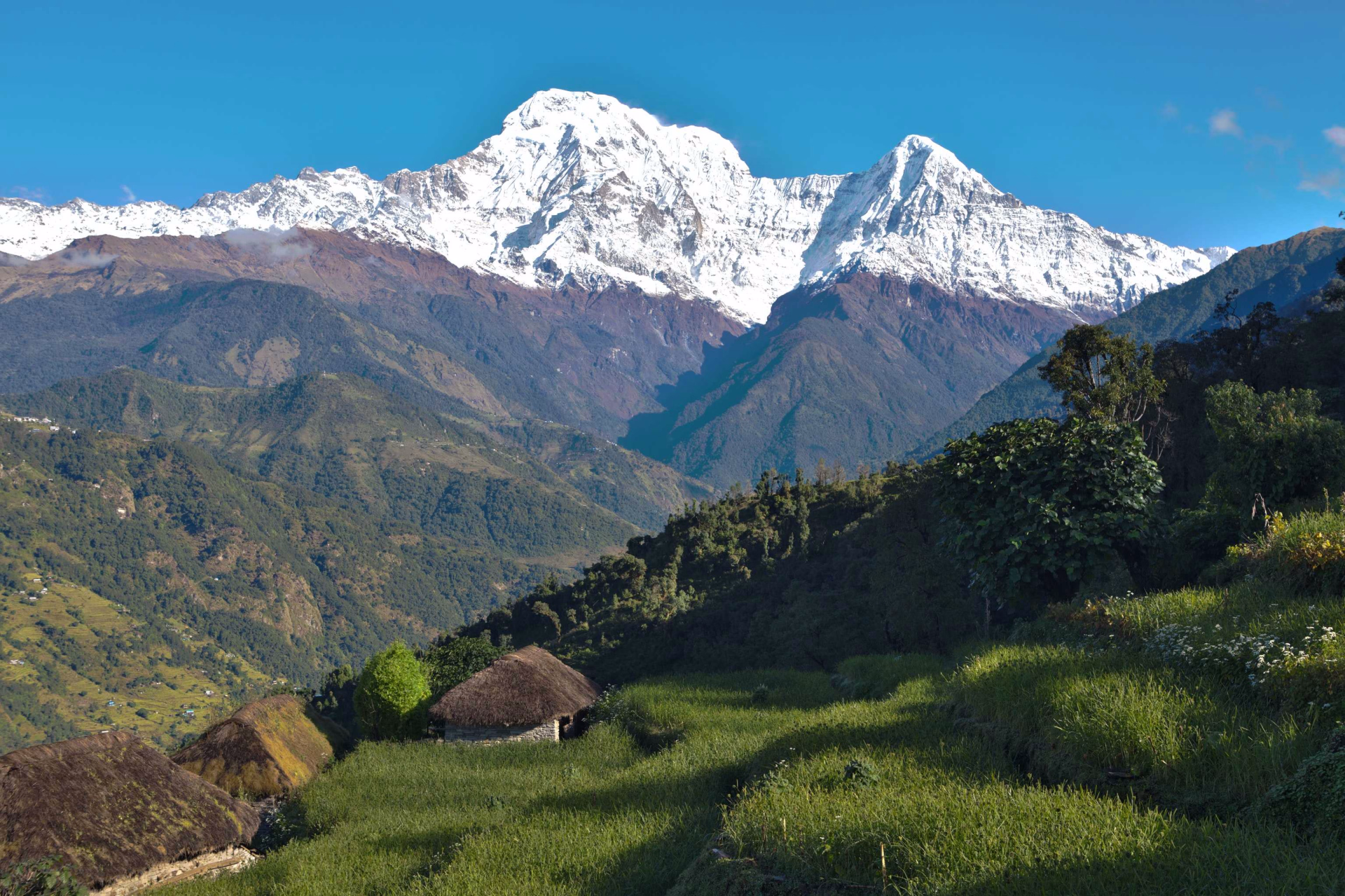 Trek des Annapurnas