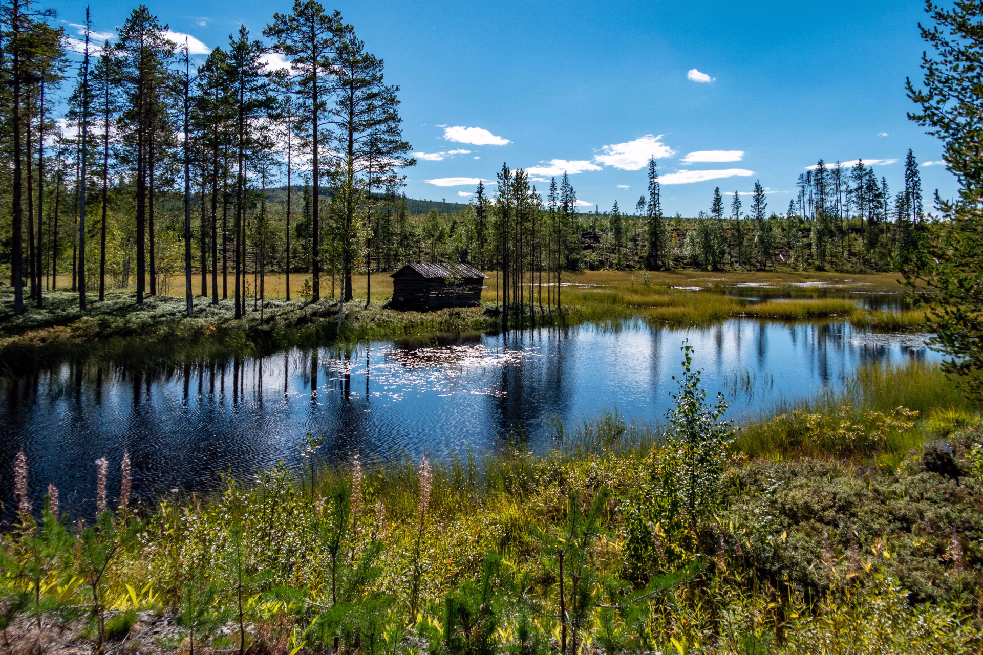 Umea en Suède