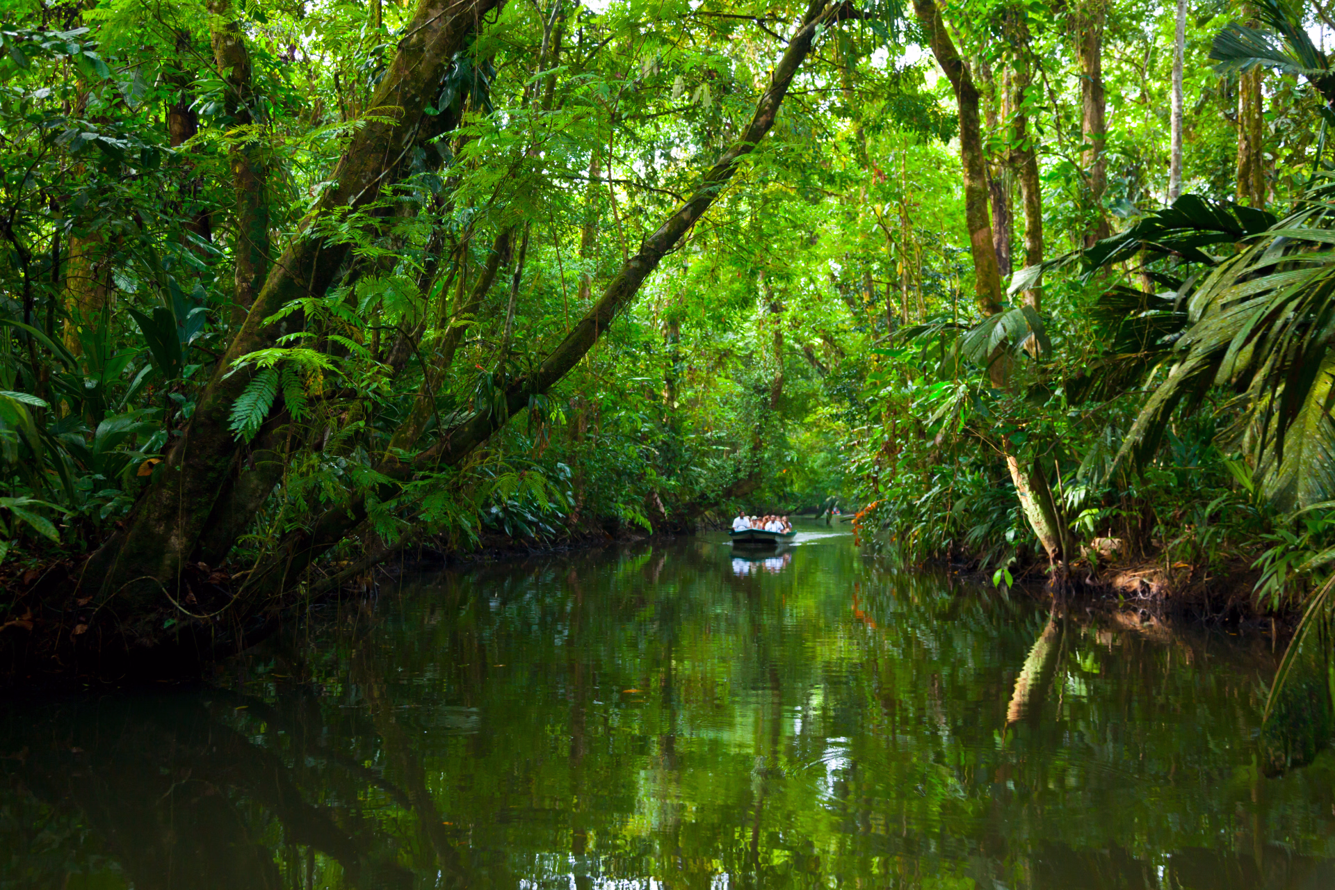 Costa Rica, sanctuaires sauvages et immersion locale