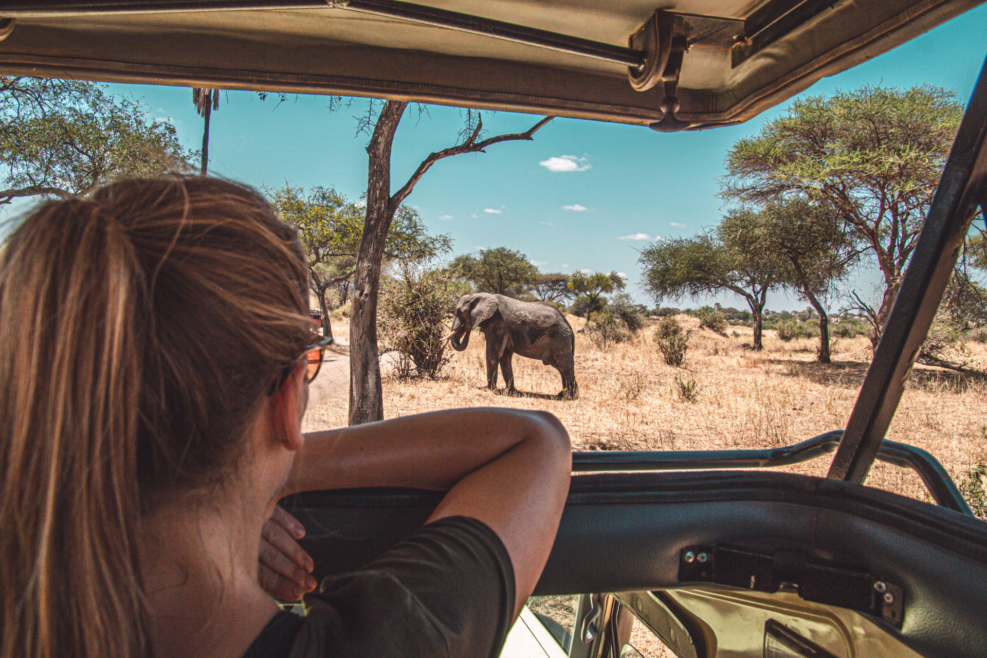 Safaris, Pays Masaï et Zanzibar : 100% Tanzanie !