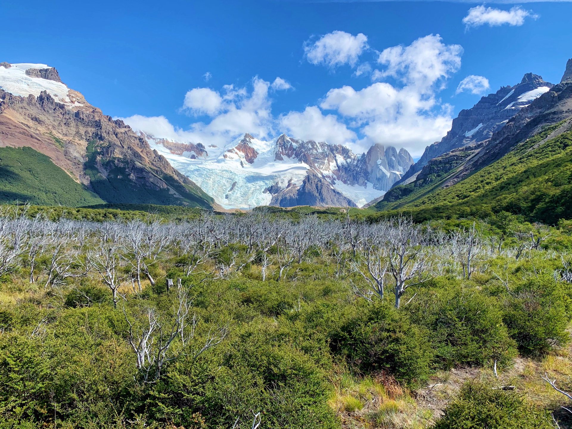 L'essentiel de la Patagonie