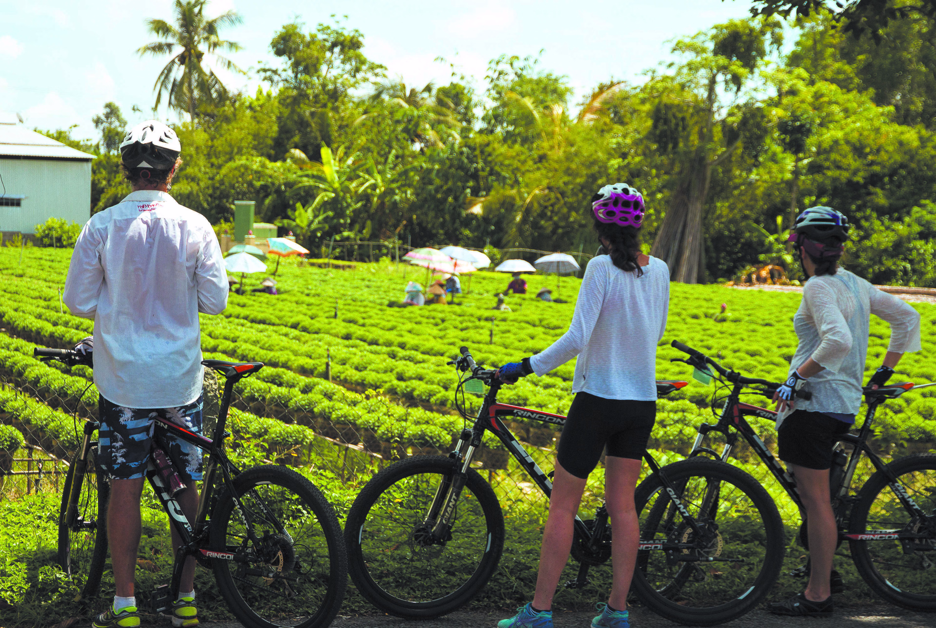 Vietnam - Velo - Voyage - Vacances