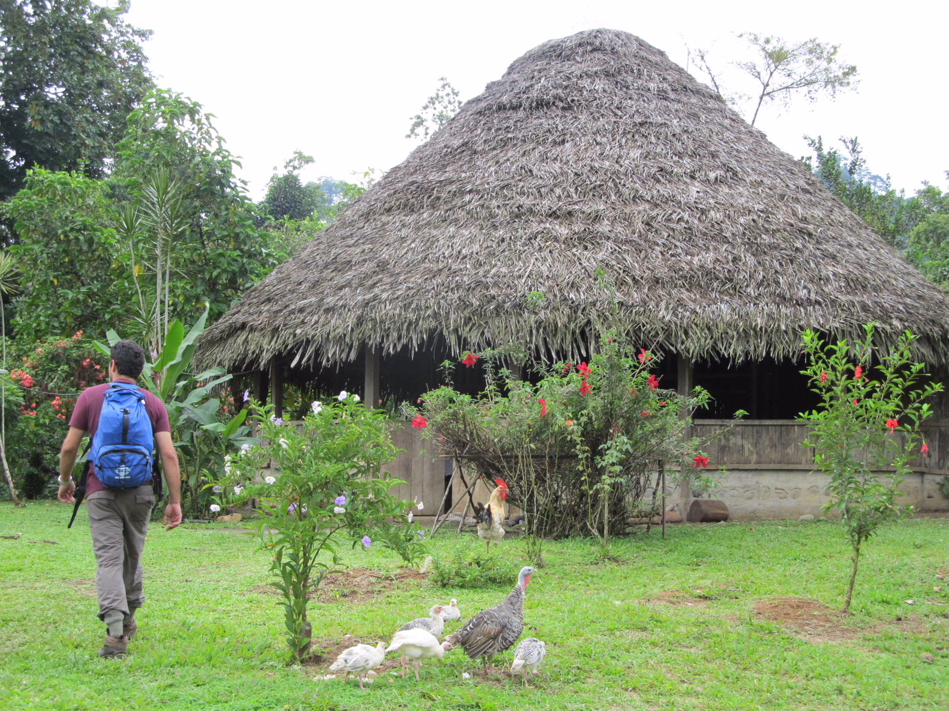 Costa Rica : miroirs célestes et sanctuaires sauvages