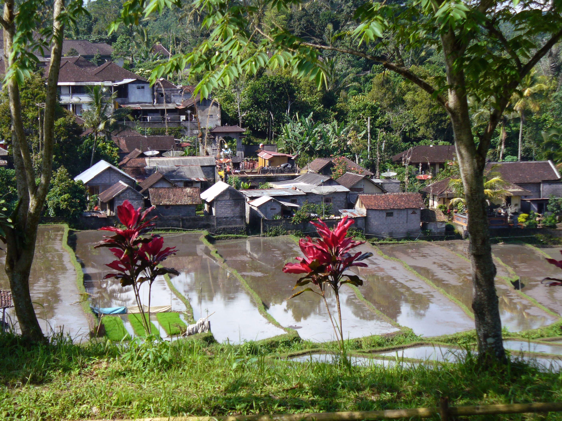 Vue sur le village Pupuan, Bali