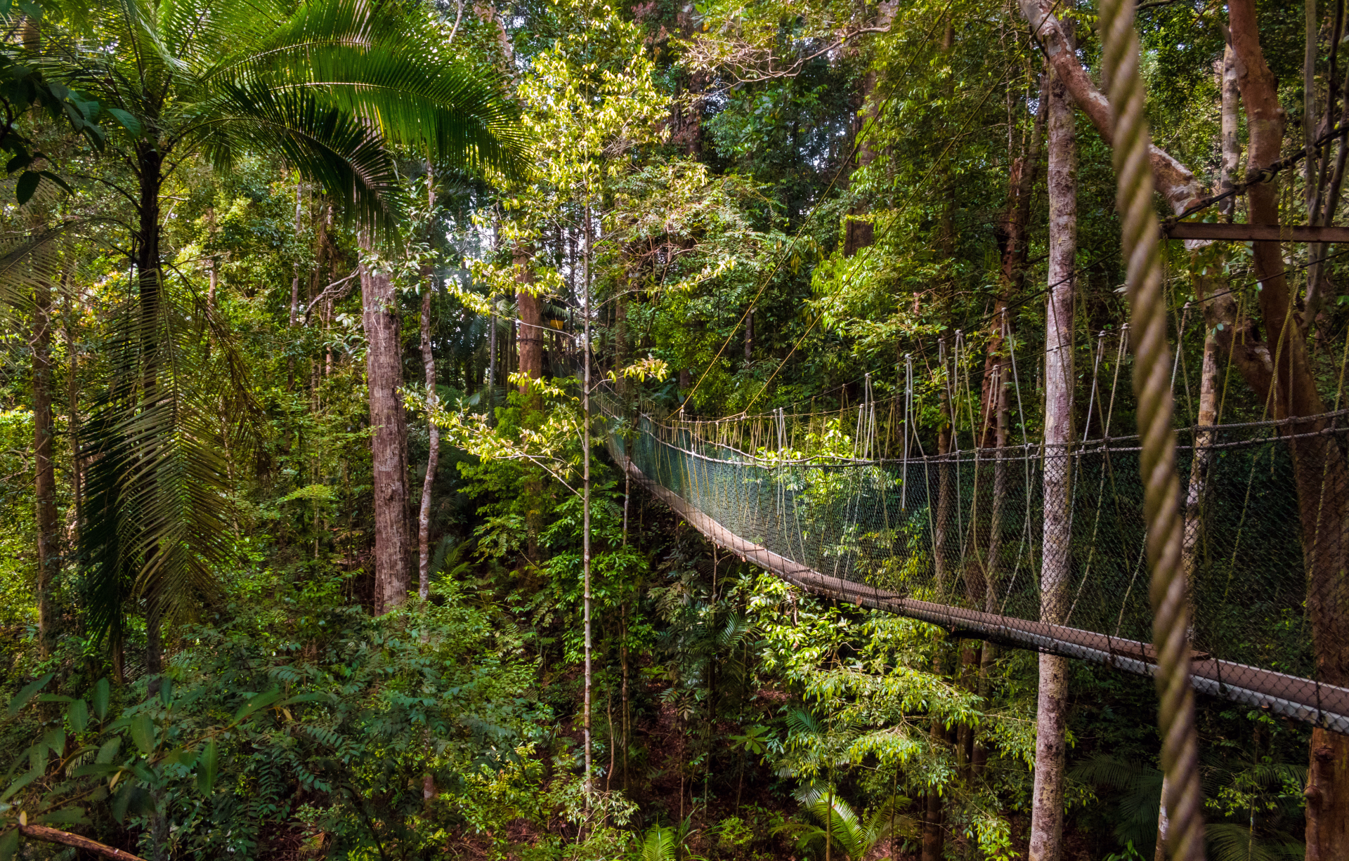 Sur les rails de la Malaisie : de Kuala Lumpur à Singapour