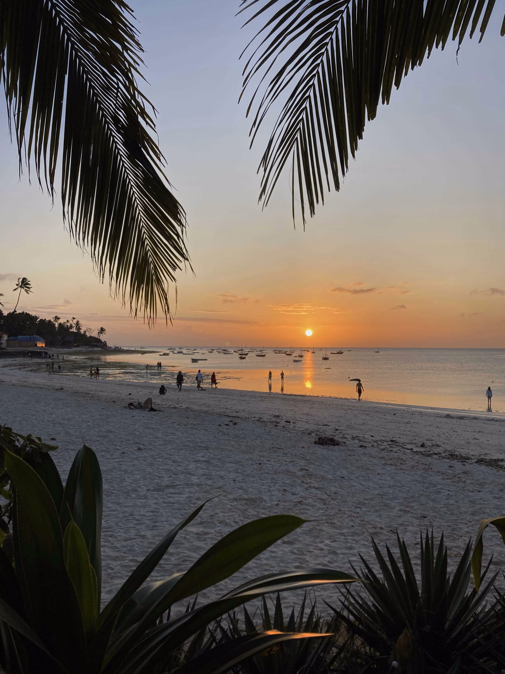 Zanzibar, l'île aux épices