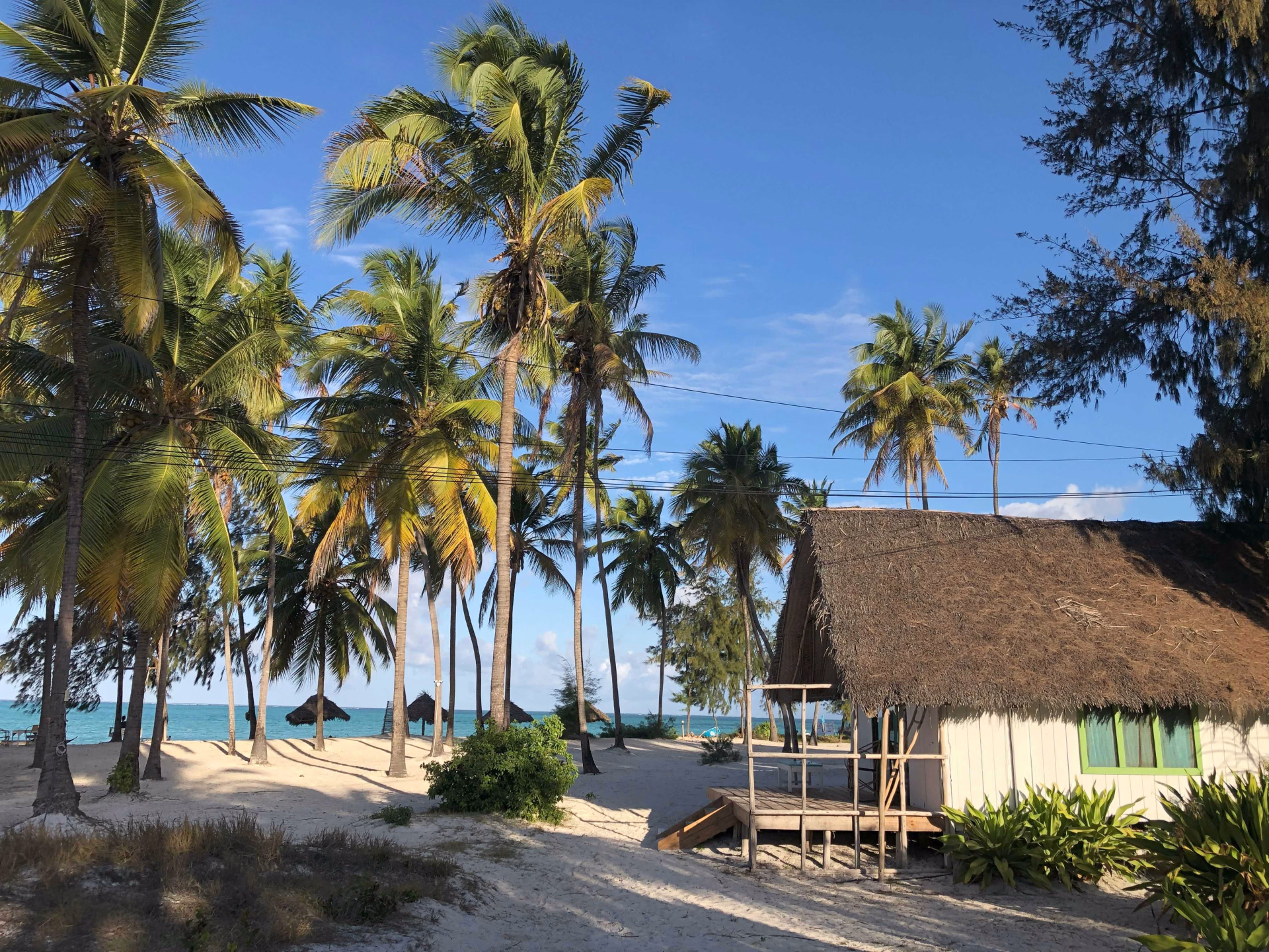 Zanzibar, l'île aux épices