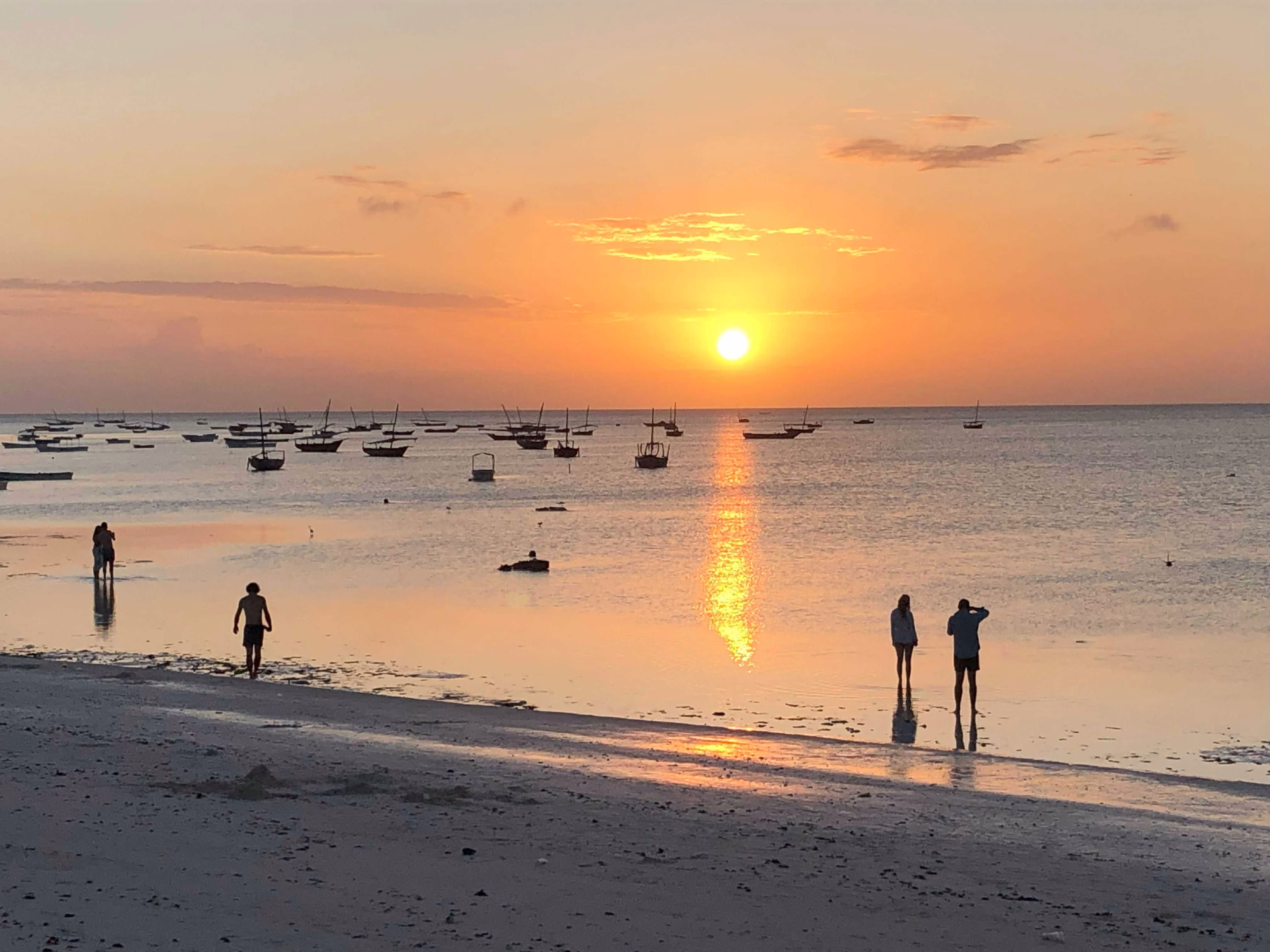 Zanzibar, l'île aux épices