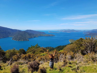 Point de vue depuis le Queen Charlotte Track