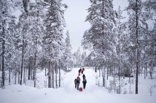 Randonnée dans la taïga finlandaise