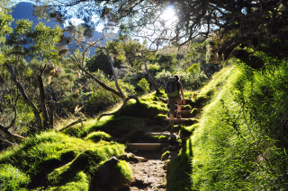Randonnée La Nouvelle, Hellbourg, La Réunion