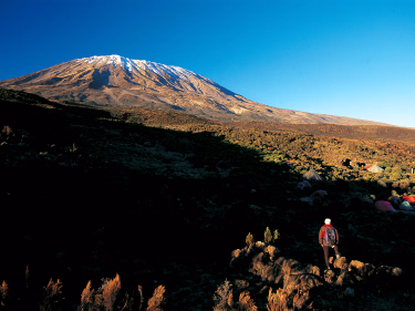 Safari - Kilimandjaro voie Machame : ascension privée et safaris en Tanzanie