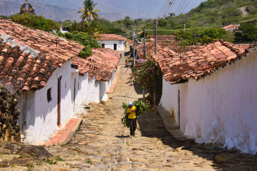 Randonnées et trek Nevado de Puracé
