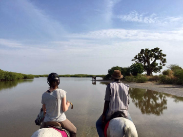 Voyage à cheval - Safari à cheval dans le Sine Saloum au Sénégal - Spécial Réveillon