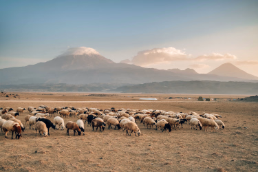 Voyage en Haute Montagne - Ascension du mont Ararat (5137m)