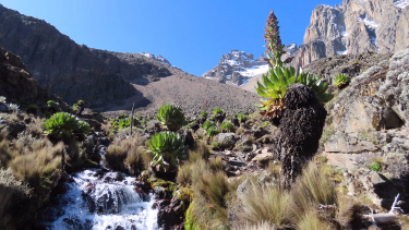 Voyage en Haute Montagne - Ascension du Mont Kenya par la Pointe Lenana