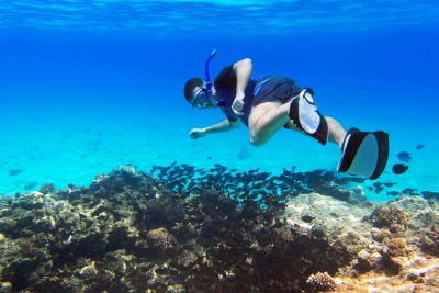 A la découverte des merveilles de la Mer Rouge en snorkeling