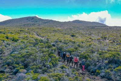 Dans la descente du Piton des Neiges