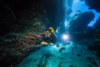 Découvrez la vie maritime avec nos séjours de plongée au Portugal