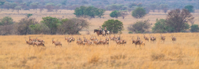 Nos randonnées équestres en Afrique