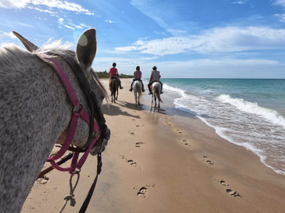 Nos randonnées à dos de cheval au Sénégal