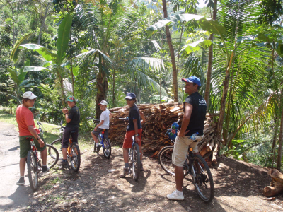 Randonnée / Trek × Java