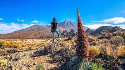Séjour randonnée aux Canaries : l’évasion à portée de pieds