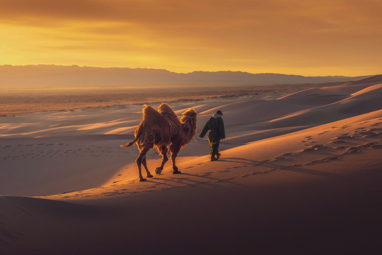 Partez à la découverte de la Mongolie avec nos séours de randonnée