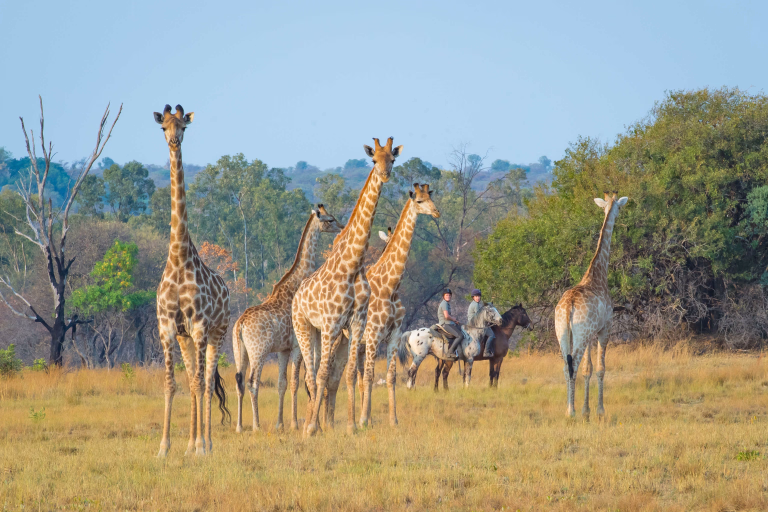 Nos séjours multiactivités pour cet été en Afrique